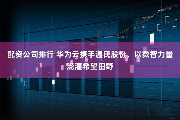配资公司排行 华为云携手温氏股份，以数智力量浇灌希望田野