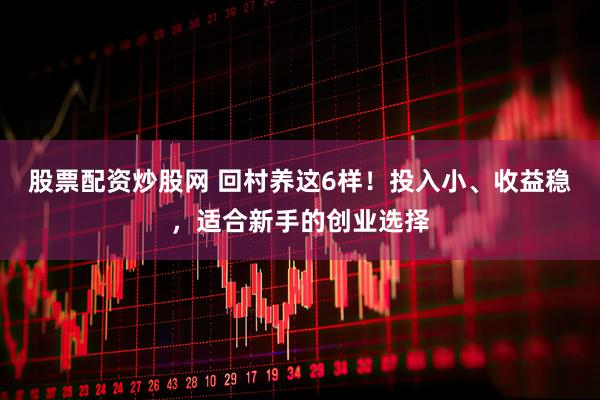 股票配资炒股网 回村养这6样！投入小、收益稳，适合新手的创业选择