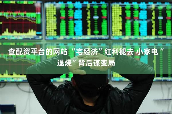 查配资平台的网站 “宅经济”红利褪去 小家电“退烧”背后谋变局