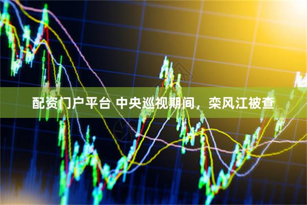配资门户平台 中央巡视期间，栾风江被查